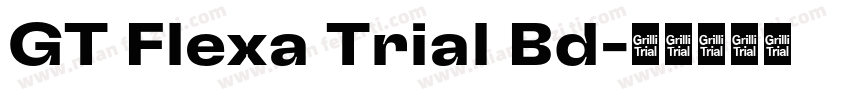 GT Flexa Trial Bd字体转换